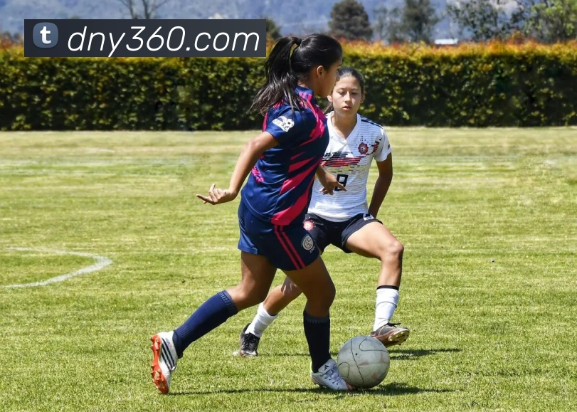 数据防护可视化